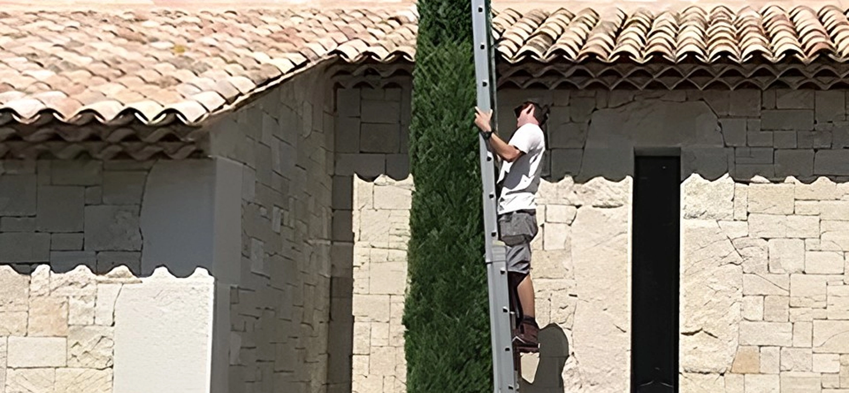 Élagage et abattage arbre sur Cannes et Mougins, 06