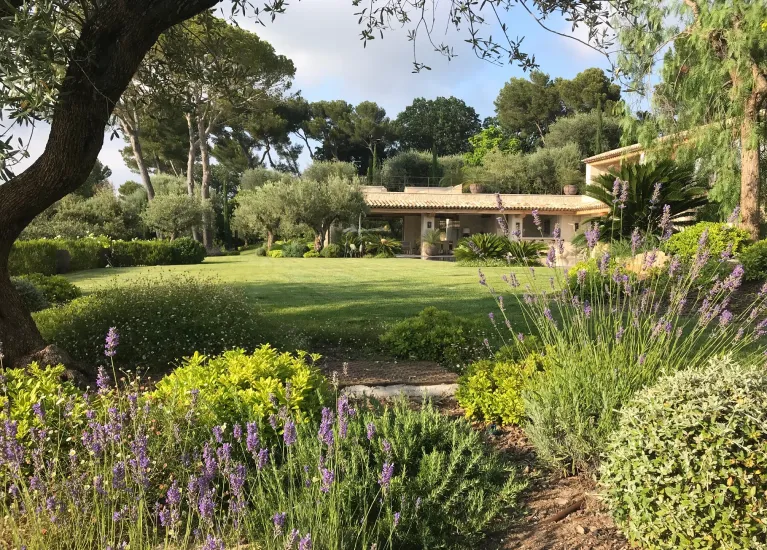 Entretien parcs et jardins sur Cannes et Mougins, 06